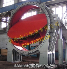 黑龍江DN4800水電站專用雙重密封雙油缸液控蝶閥